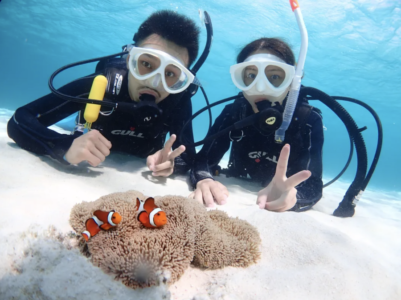 【石垣島/1日】初心者専門☆幻の島上陸＆体験ダイビング1dive＆ウミガメシュノーケリングツアー《写真プレゼント＆ランチ付き》石垣島の海を最大限に楽しもう