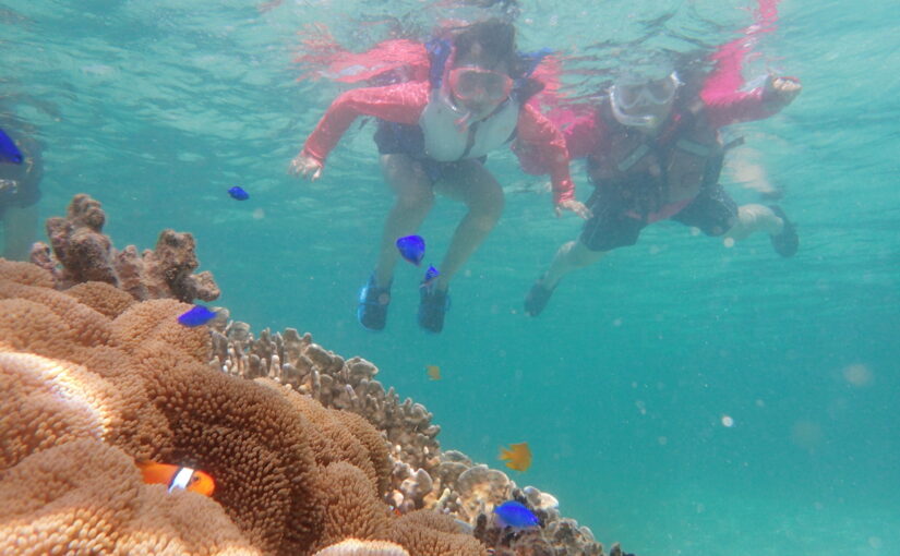 白保海岸　シュノーケリングツアー