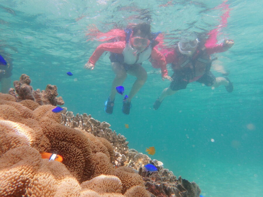 白保海岸　シュノーケリングツアー