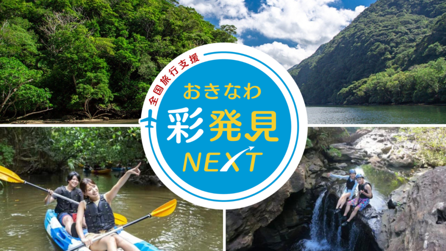 【全国旅行支援最大20%OFF対象】マングローブでSUPorカヌー体験＆キャニオニング1日コース《石垣島-西表島往復フェリーチケット付き》（z-561）
