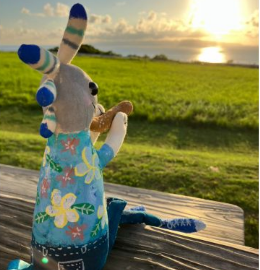 【石垣島】雨の日OK◎話題の新感覚アート！石垣島初上陸ロコペリアート『ロコペリ』体験コース《当日お持ち帰り可能》（No.469）
