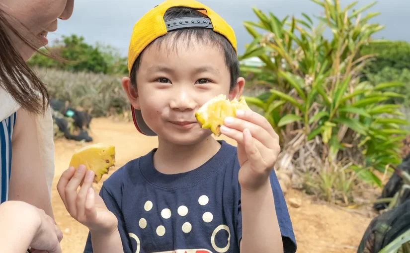 パイナップル収穫体験