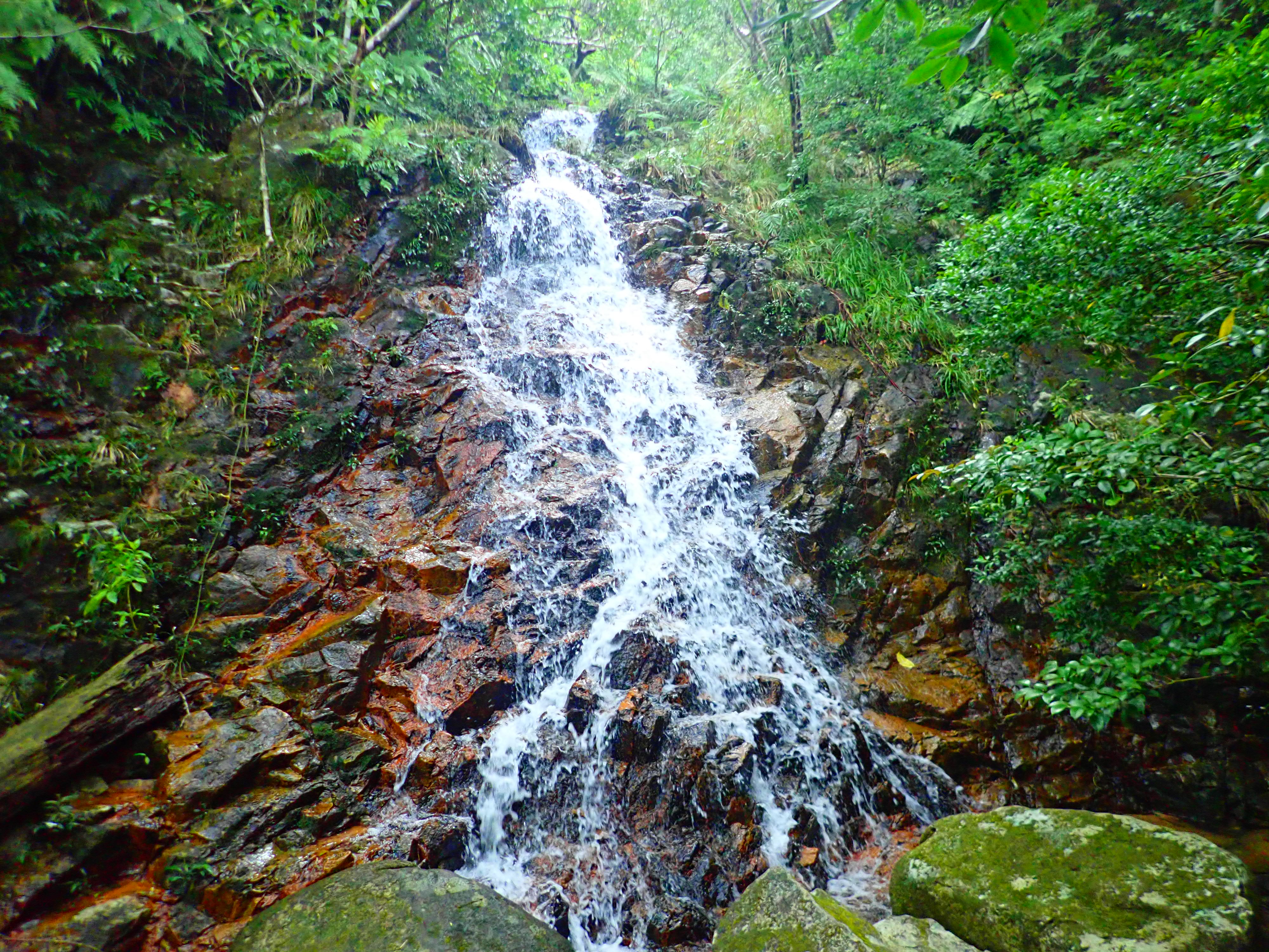 於茂登岳 石垣島の観光スポット 石垣島ツアーズ