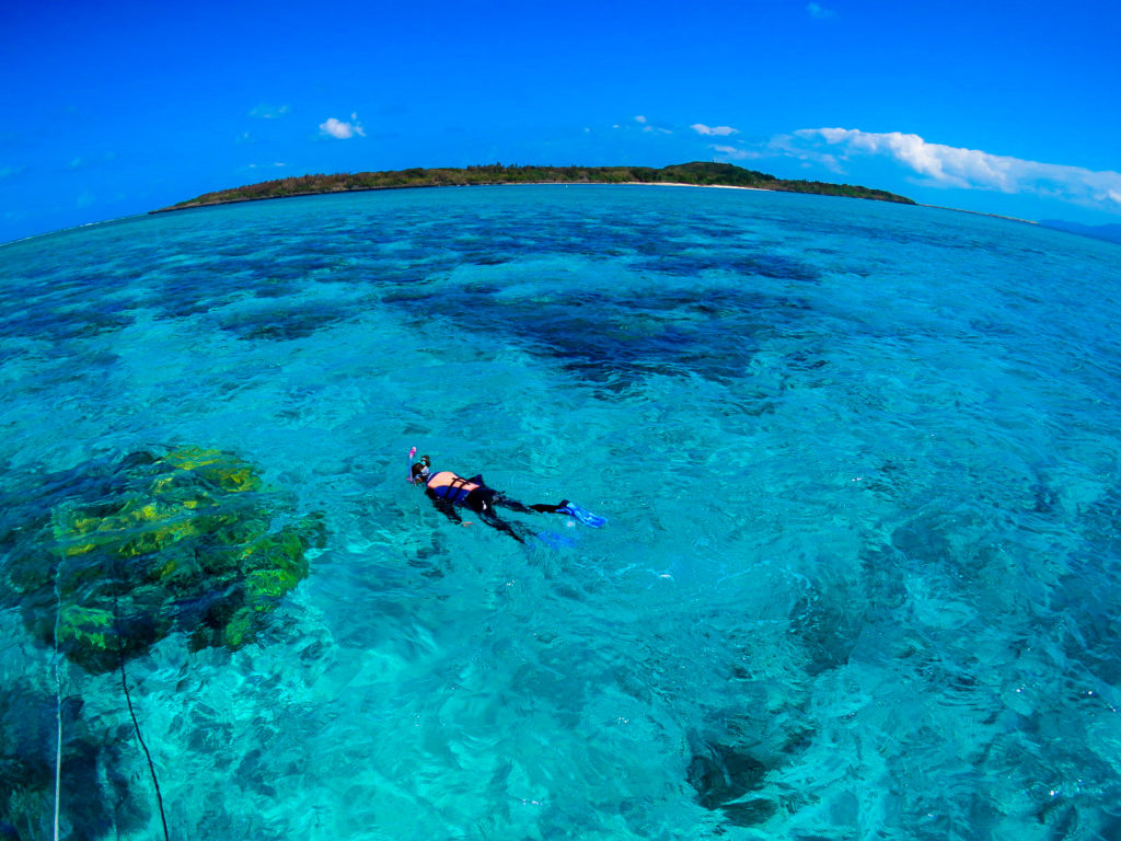 Discover Ishigaki’s Underwater Paradise: Snorkeling Guide