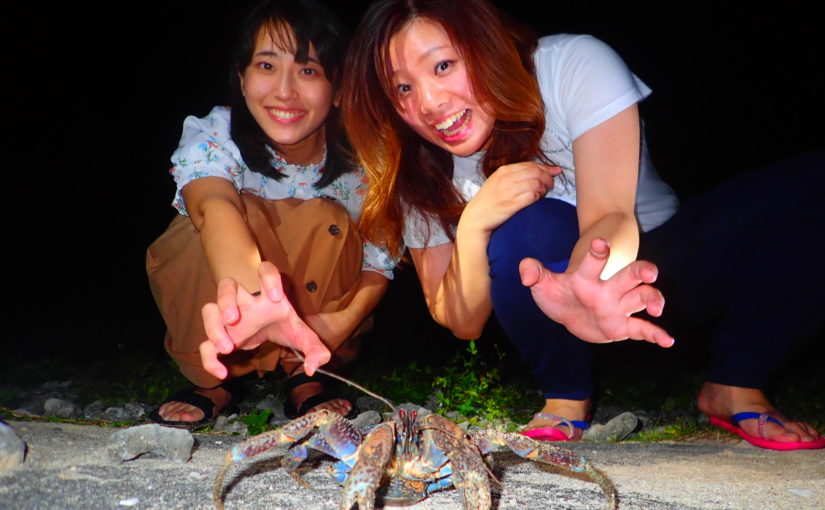 石垣島のナイトツアー