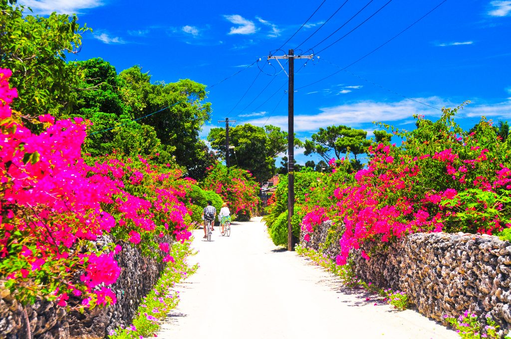 石垣島は冬に観光するのがおすすめな理由を徹底解説！