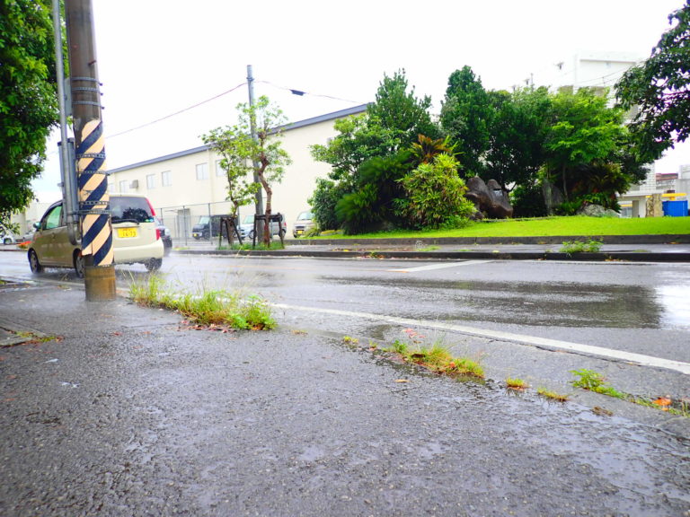 石垣島雨: 石垣島 梅雨明け