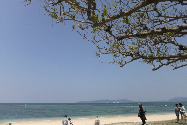 石垣島でシュノーケリングをするならここ！おすすめのビーチや人気ツアーをご紹介！真栄里ビーチ