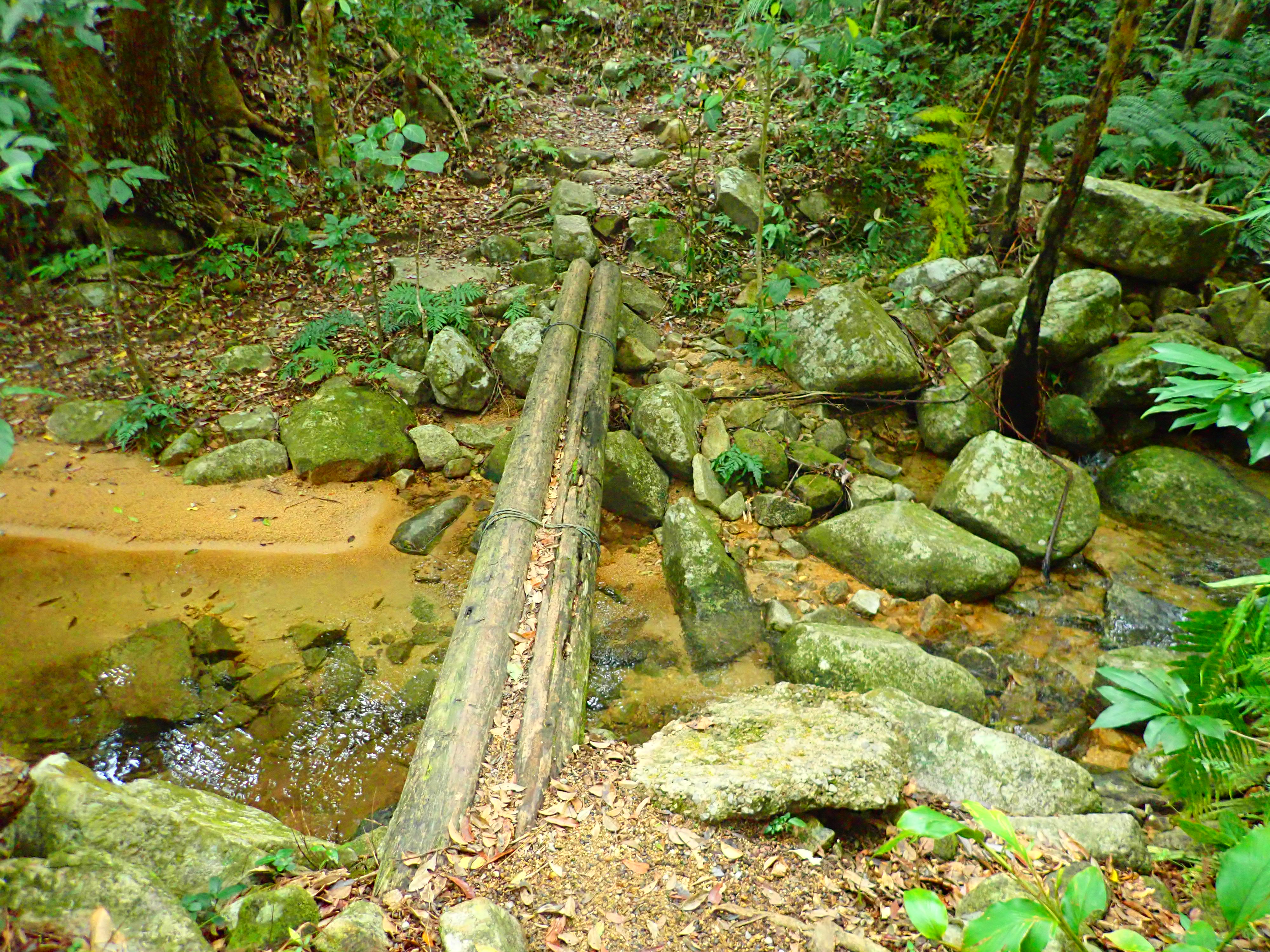 於茂登岳 石垣島の観光スポット 石垣島ツアーズ