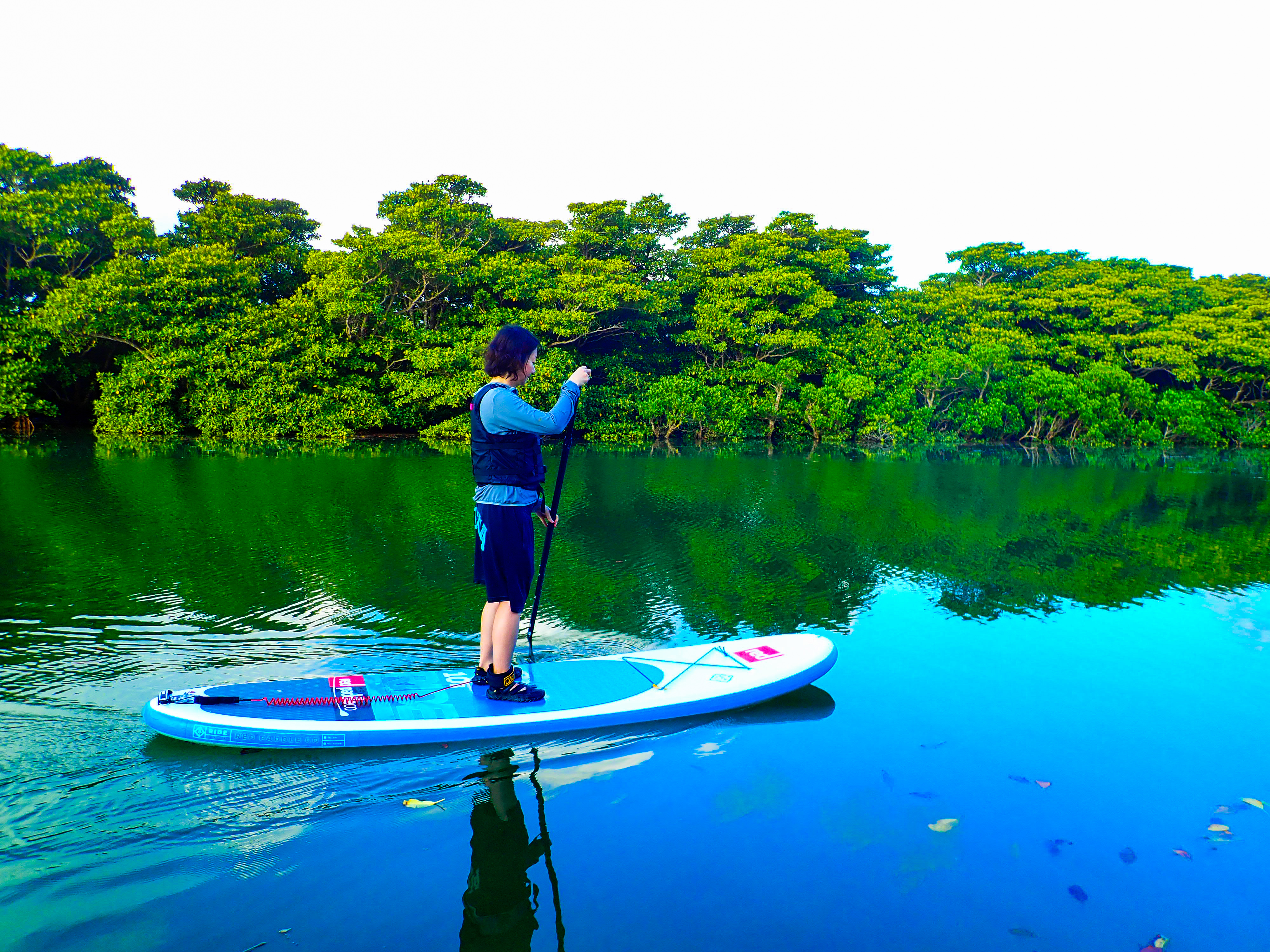 石垣島で今最も人気の高い宮良川マングローブSUPアクティビティ