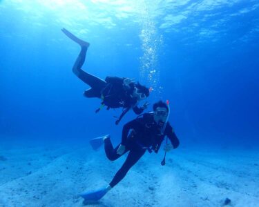 【石垣島/午後半日】ウミガメ遭遇率90％以上☆気軽に楽しめる！体験ダイビング＆ウミガメシュノーケリングツアー