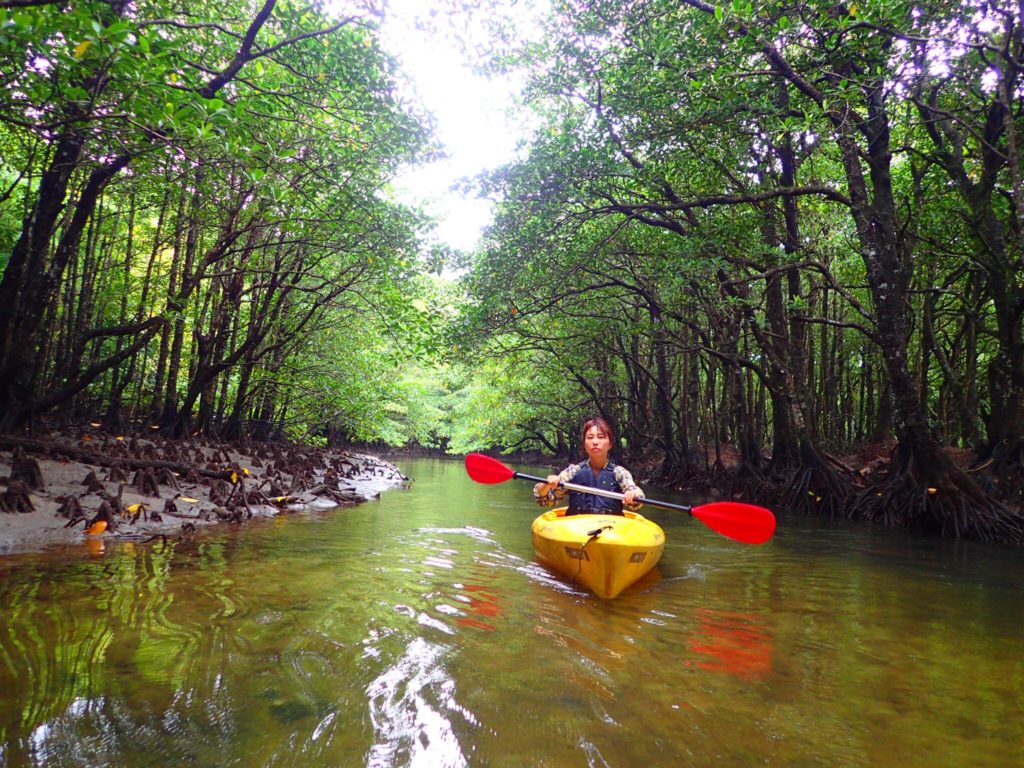 石垣島の一人旅で楽しむマングローブカヤック体験。大自然の静寂に癒やされるアクティビティ。