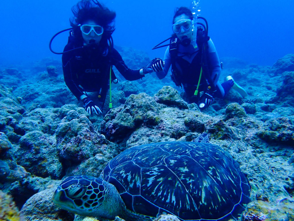 石垣島のウミガメスポットである大崎エリア