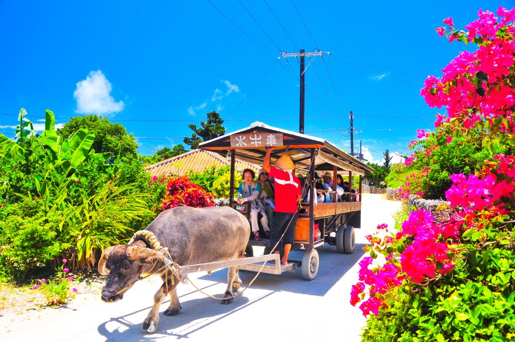 石垣島ハネムーンで訪れたい竹富島の観光。水牛車に揺られて巡る沖縄の古い町並み。