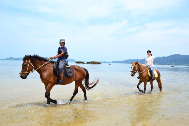 石垣島で乗馬体験アクティビティ