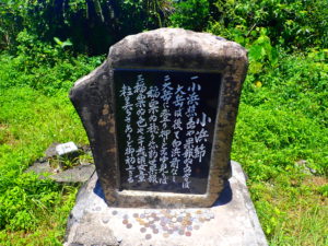 小浜島への行き方 遊び方 おすすめスポット一覧 石垣島ツアーズ