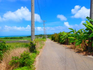 小浜島への行き方 遊び方 おすすめスポット一覧 石垣島ツアーズ