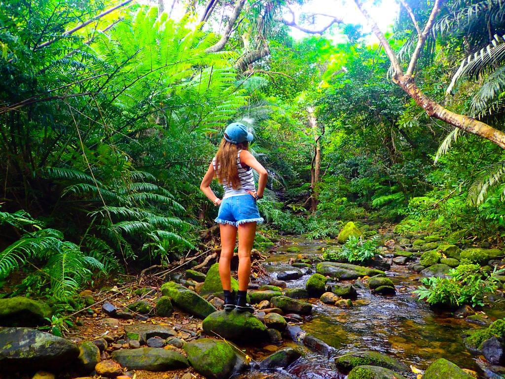 西表島のマングローブジャングルを旅する女性