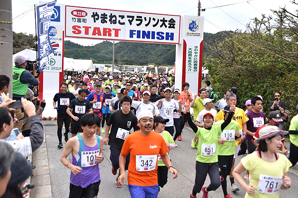 西表島で2月に行われるやまねこマラソン