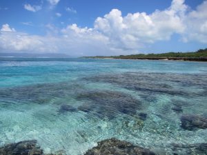 仲本海岸 黒島の観光スポット 石垣島ツアーズ