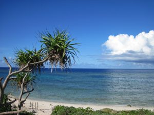 仲本海岸 黒島の観光スポット 石垣島ツアーズ