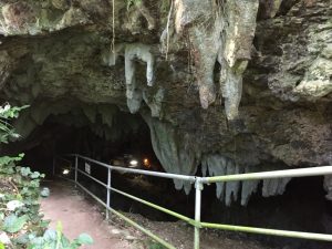 八重山自然村 八重山鍾乳洞 石垣島の観光スポット 石垣島ツアーズ