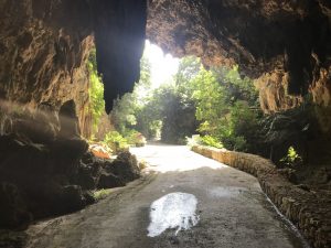 伊原間サビチ洞 石垣島の観光スポット 石垣島ツアーズ