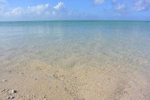 コンドイビーチ 竹富島の観光スポット 石垣島ツアーズ