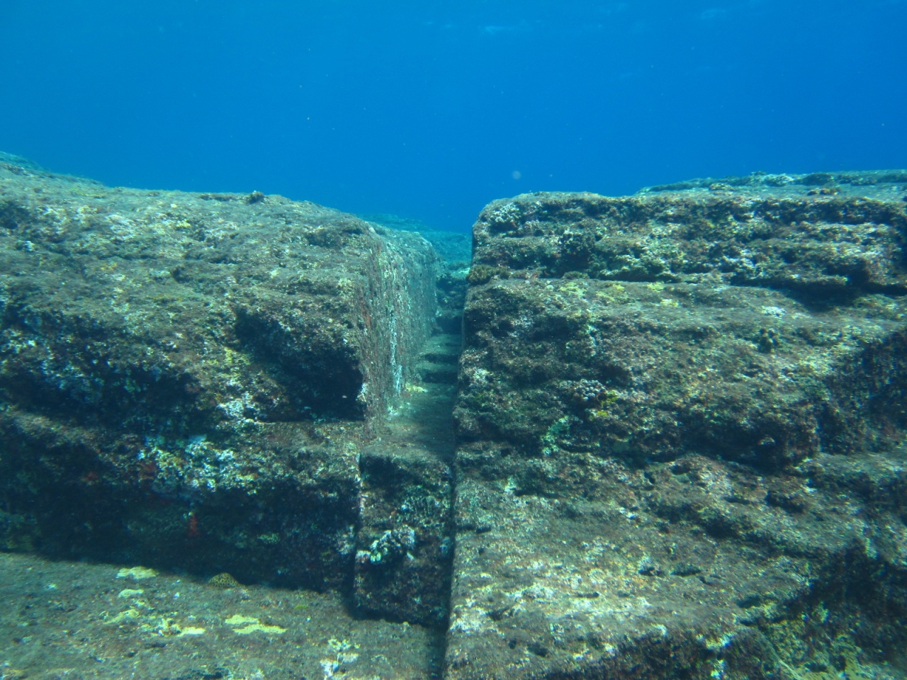 海底遺跡 与那国島の観光スポット 石垣島ツアーズ