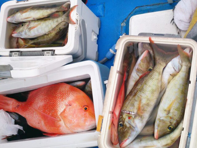 釣り