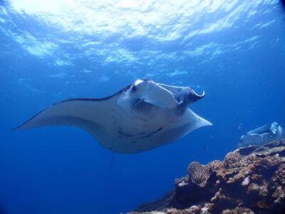 Okinawa Island Hopping: Miyako and Ishigaki