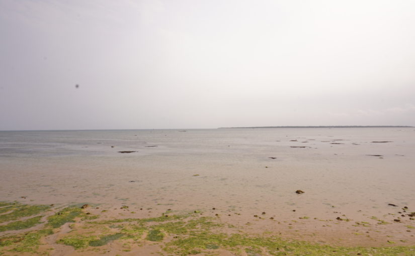 沙尼沙尼海灘