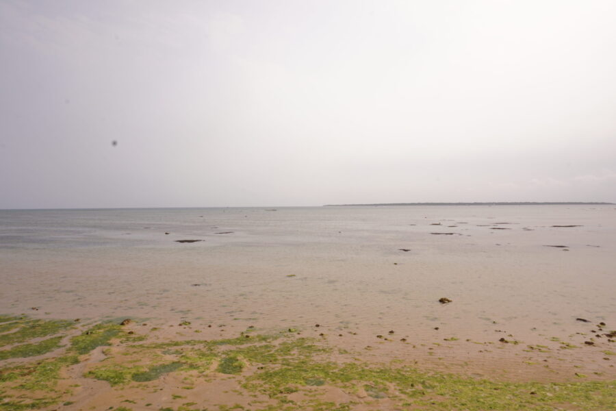 沙尼沙尼海灘
