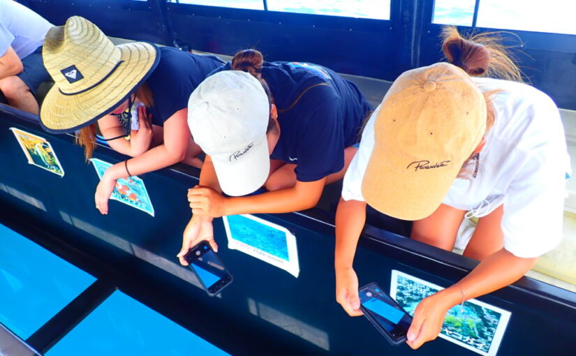 石垣島　グラスボート体験