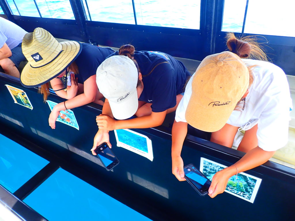【石垣島/1日】一度は訪れたい2大絶景スポットへ！川平湾グラスボート＆SUP体験と青の洞窟シュノーケリングツアー