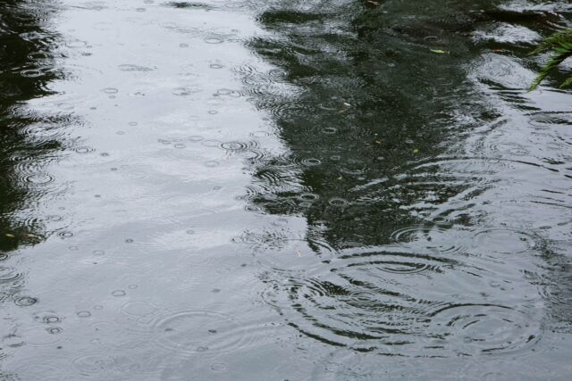 雨　水たまり