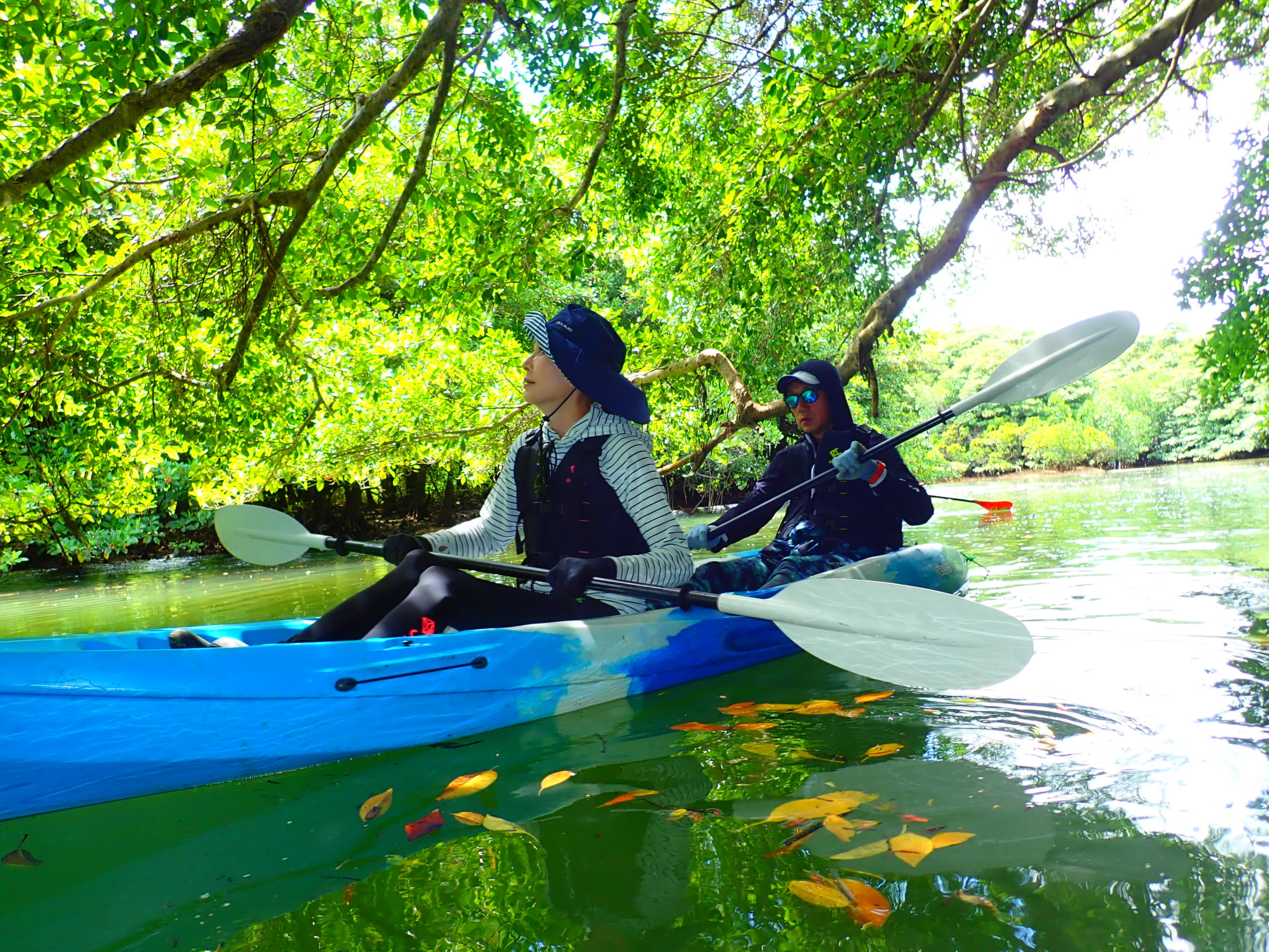 石垣島のマングローブカヌー