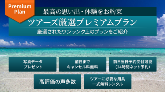 プレミアムプラン