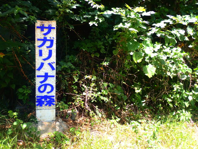 石垣島にあるサガリバナ自生地「サガリバナの森」の入り口看板。