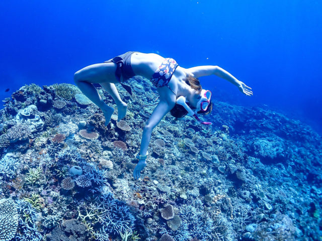 石垣島,スキンダイビング,アクティビティ