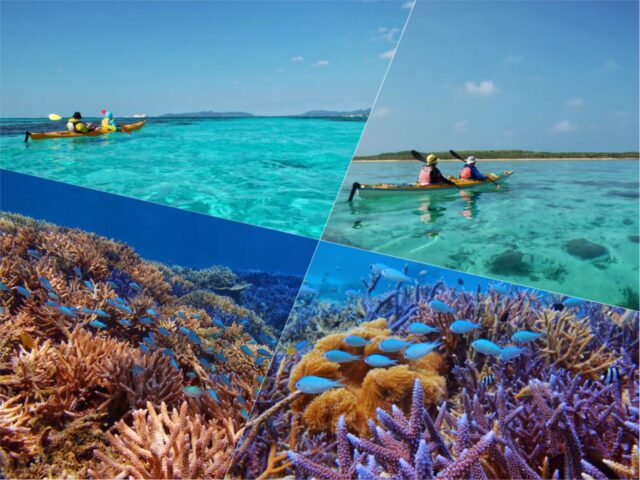 白保海岸　シュノーケリング、シーカヤック