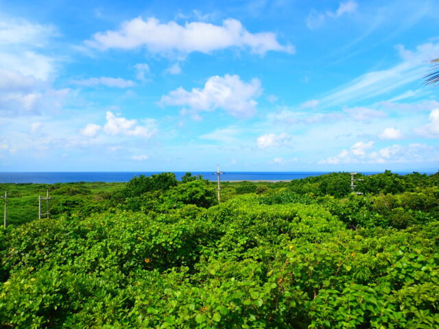 鳩間島 宿 ホテル
