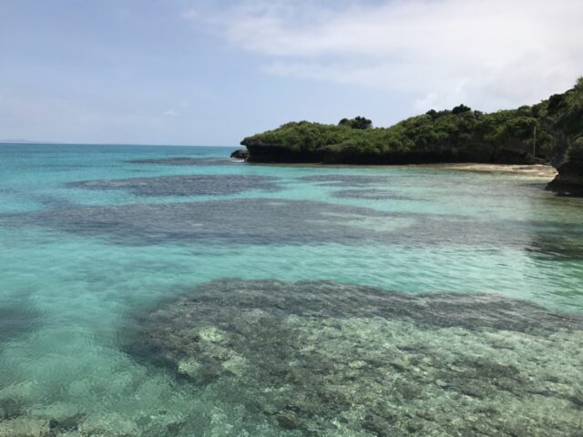 新城島-パナリ牧場- 