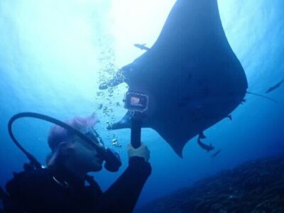 【石垣島/川平開催/1日】川平で感動のマンタ体験ダイビング2dive☆1日たっぷり楽しむ少人数開催で初心者も安心