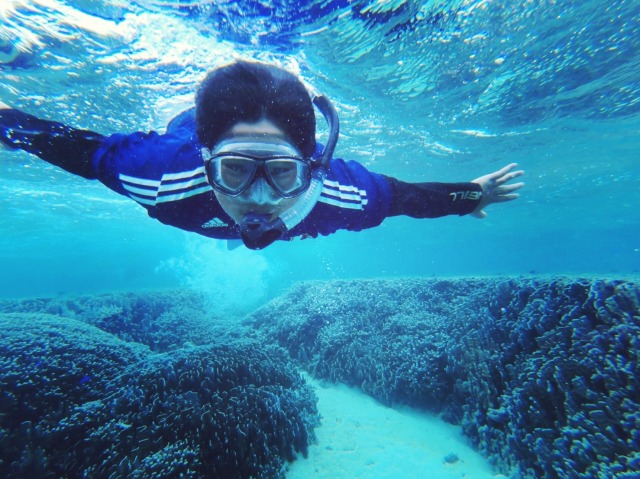 白保海岸　シュノーケリング