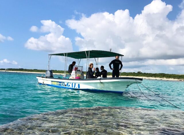 Discover Ishigaki’s Underwater Paradise: Snorkeling Guide