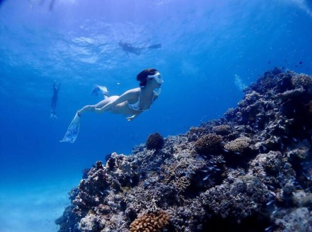 石垣島でスキンダイビング