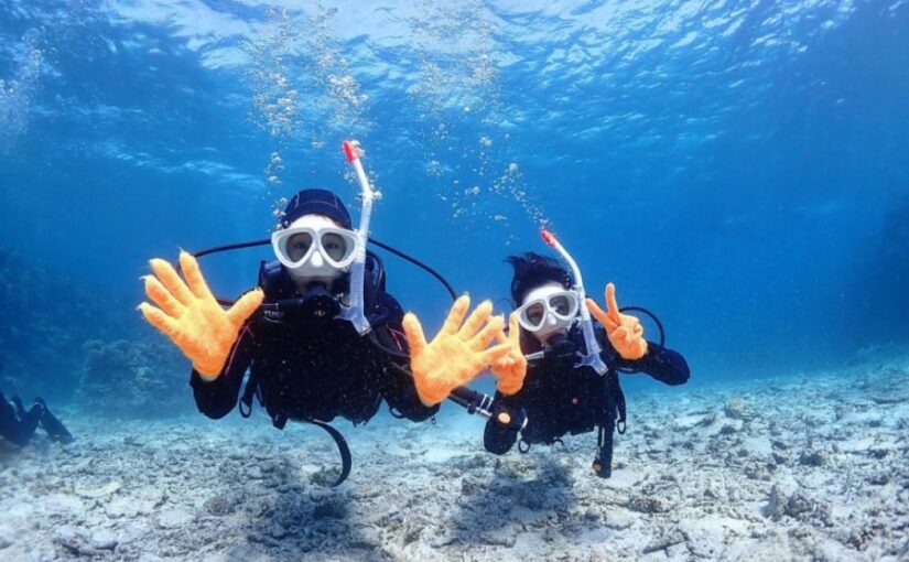 Experience Diving