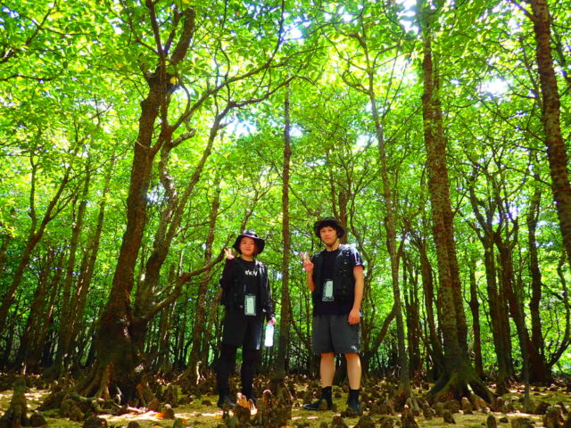 石垣島 宮良川