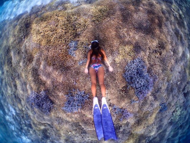 石垣島スキンダイビング